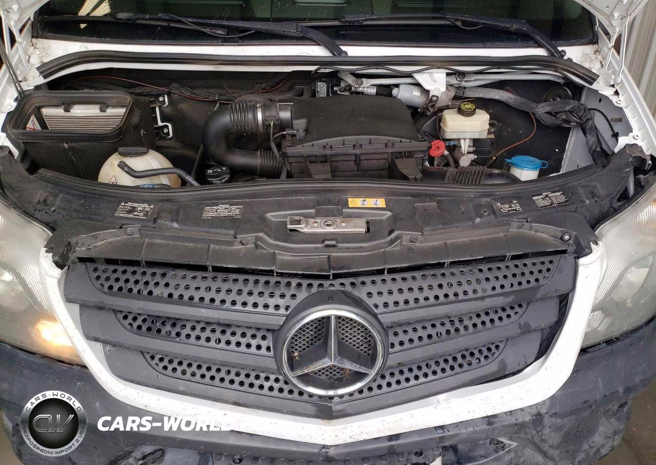 2017 Mercedes Benz Sprinter 3500 VIN:WD3PF1CD0HP571499 - 12