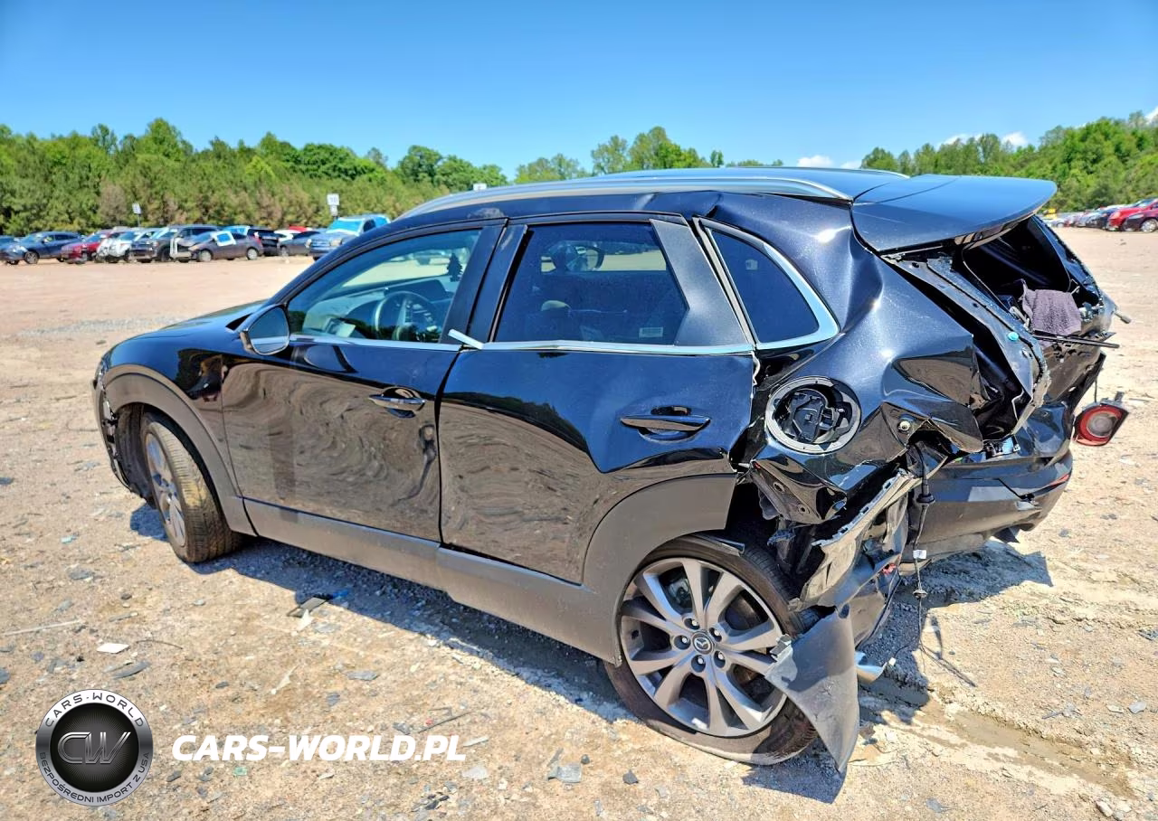 2025 Mazda Cx-30 Preferred VIN:3MVDMBCM2SM770764 - 2