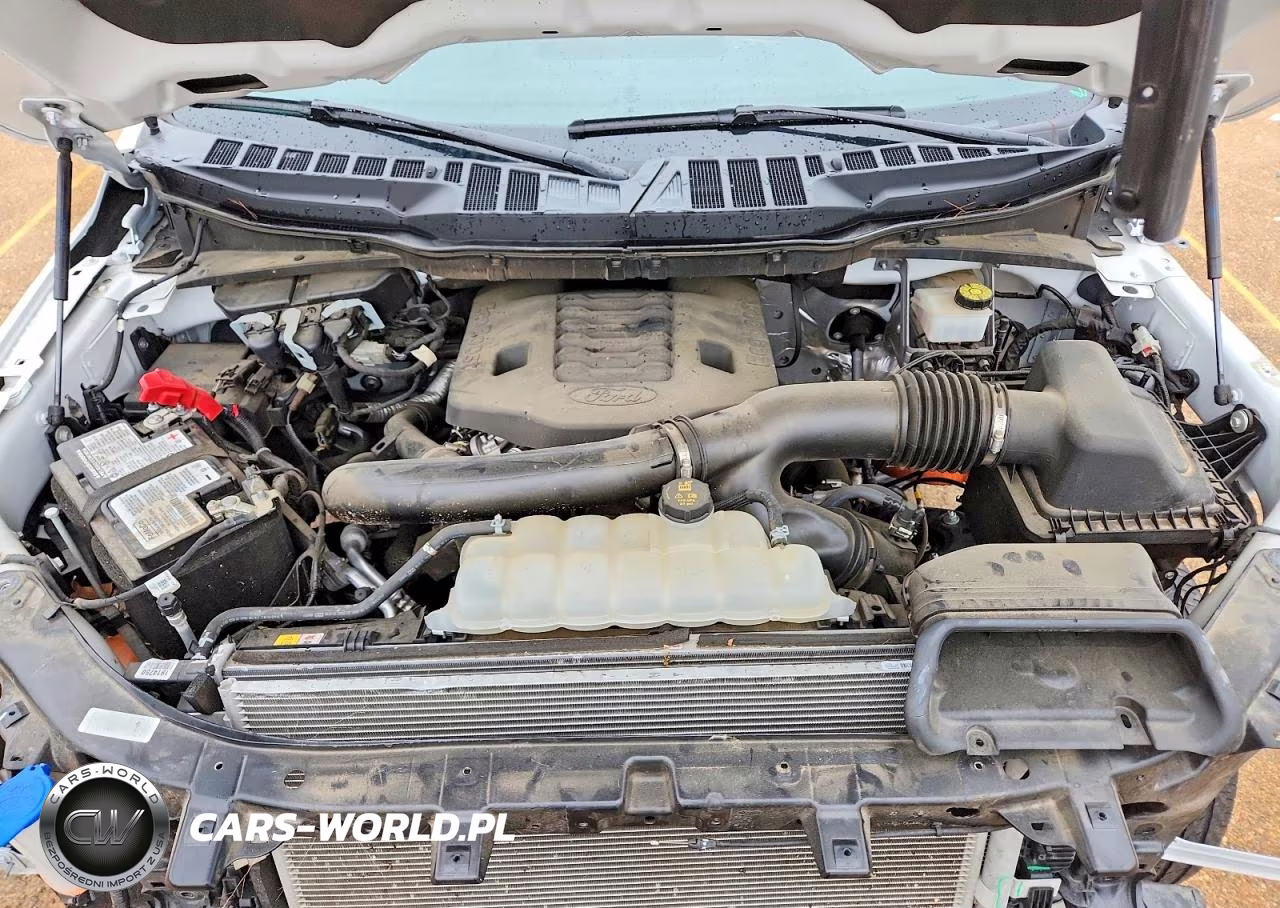 2023 Ford F150 Supercrew VIN:1FTFW1E80PKE86188 - 11