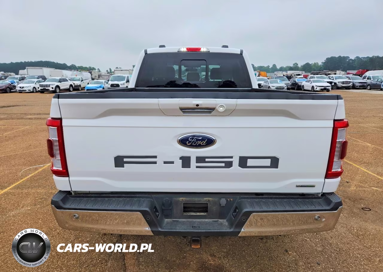 2023 Ford F150 Supercrew VIN:1FTFW1E80PKE86188 - 6