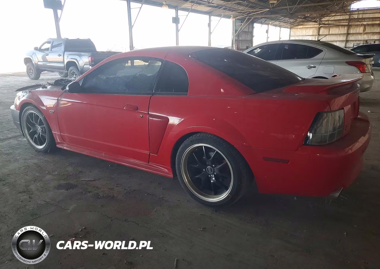 2003 Ford Mustang Gt VIN:1FAFP42X23F322802 - 2