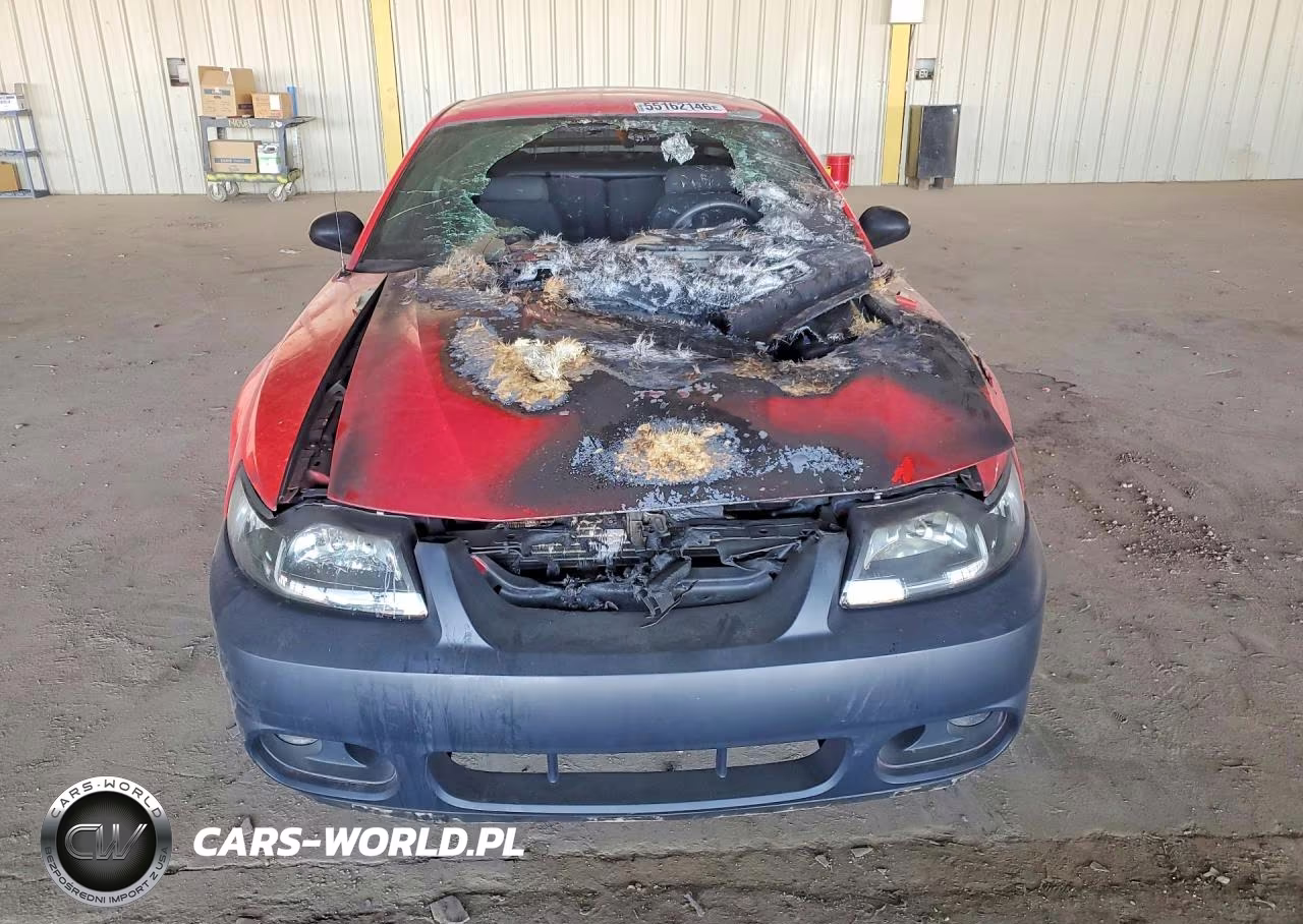 2003 Ford Mustang Gt VIN:1FAFP42X23F322802 - 5
