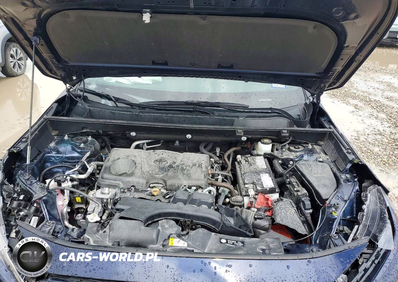 2024 Toyota Rav4 Xle VIN:2T3W1RFV2RW358563 - 11