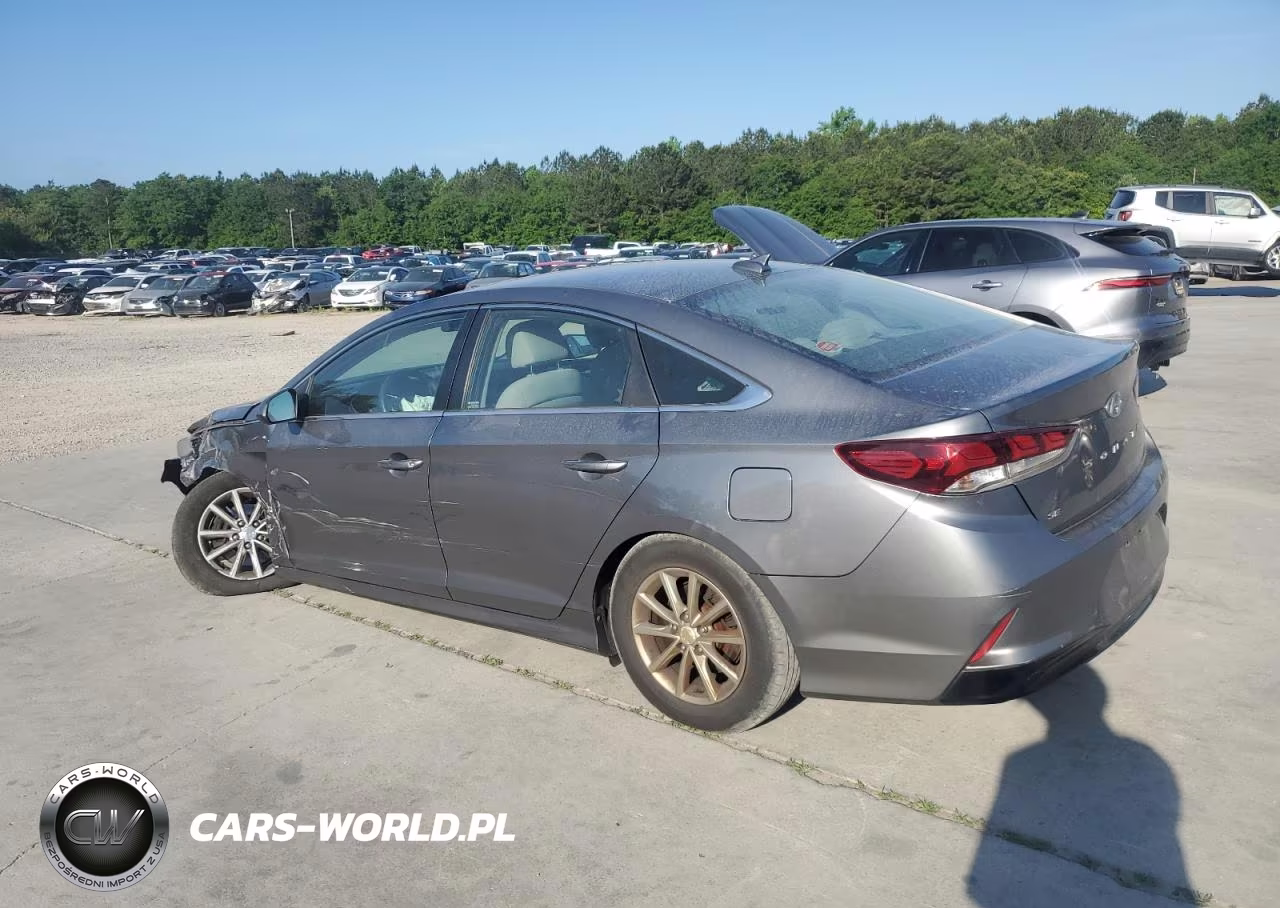 2019 Hyundai Sonata Se VIN:5NPE24AF9KH732403 - 2