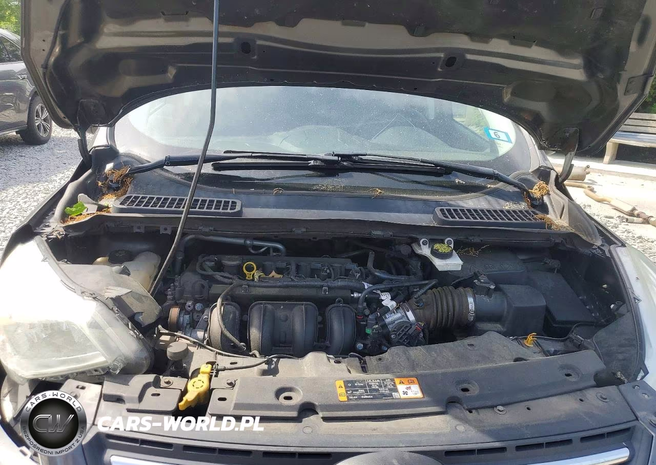 2016 Ford Escape Se VIN:1FMCU0G73GUA41452 - 12