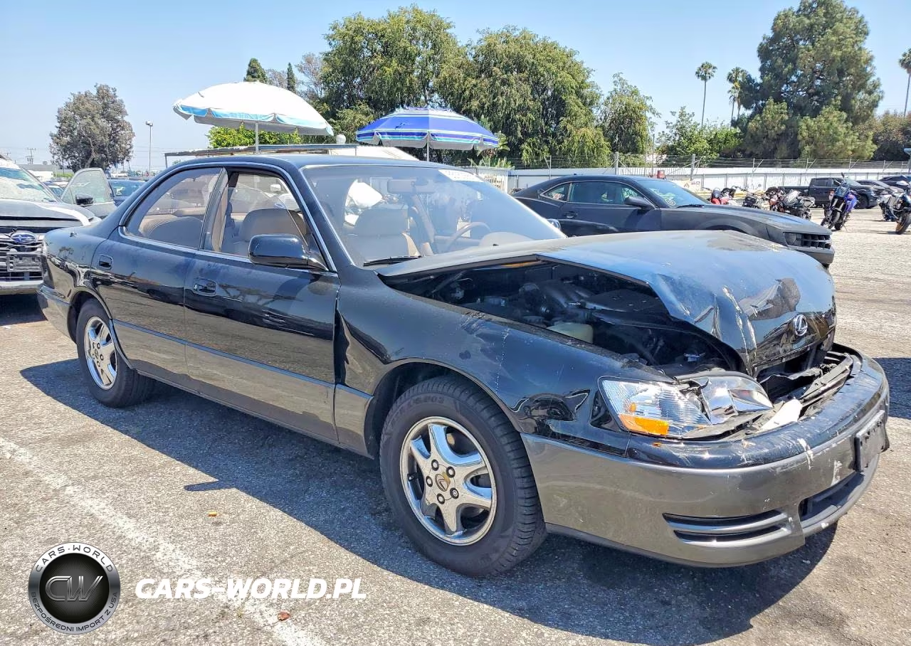 1995 Lexus Es 300 VIN:JT8GK13T2S0090029 - 4
