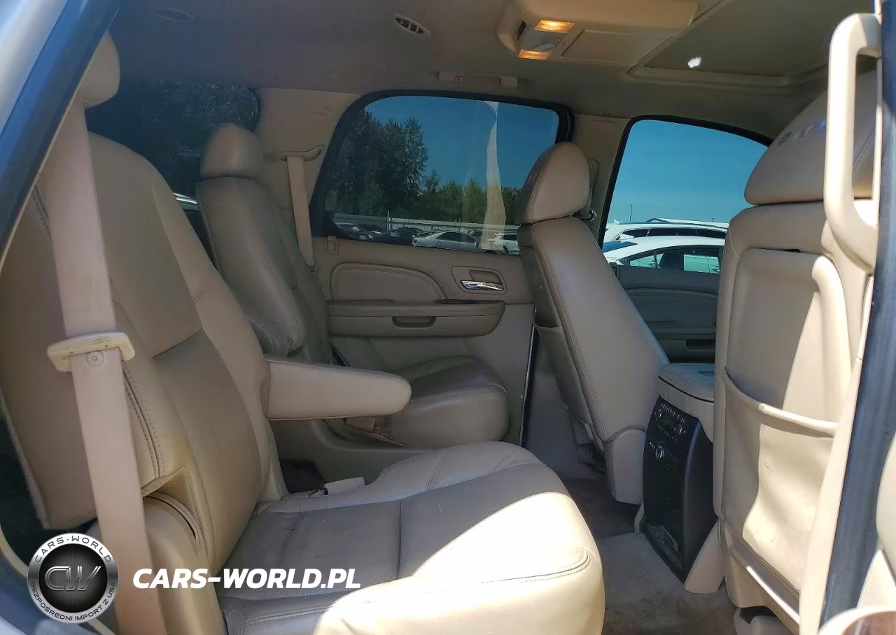 2009 Cadillac Escalade Luxury VIN:1GYFK23249R111313 - 11