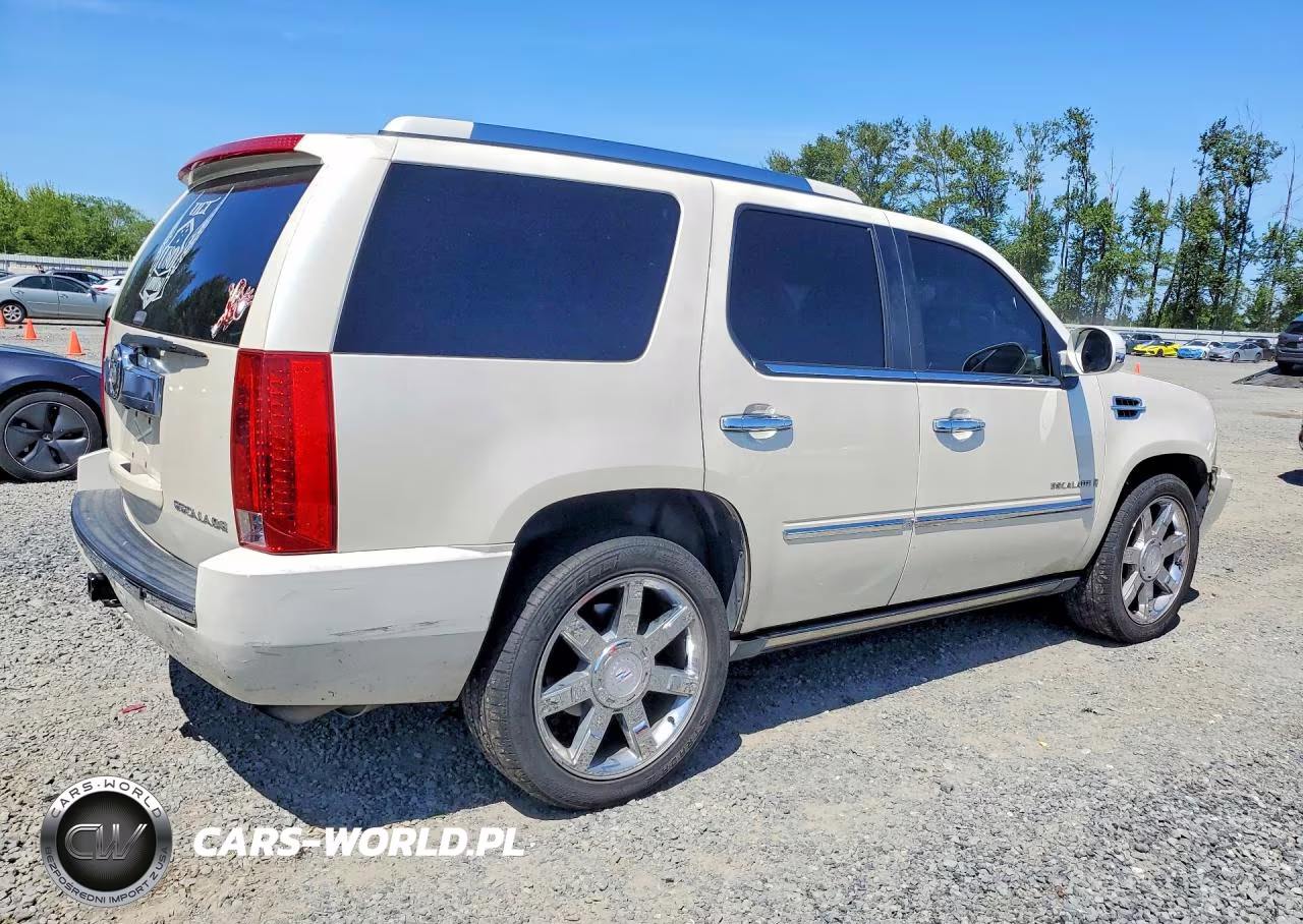 2009 Cadillac Escalade Luxury VIN:1GYFK23249R111313 - 3