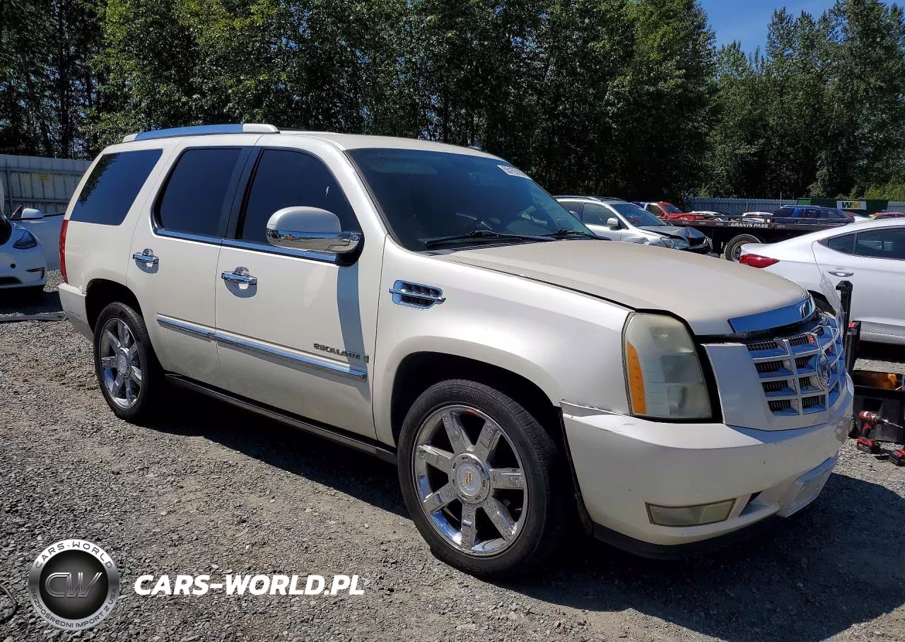 2009 Cadillac Escalade Luxury VIN:1GYFK23249R111313 - 4