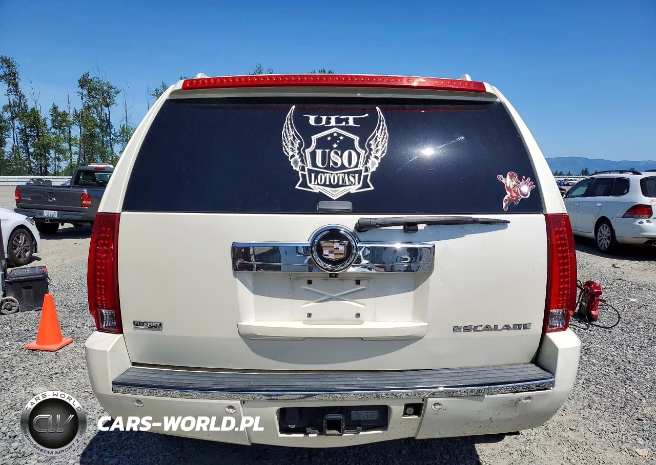 2009 Cadillac Escalade Luxury VIN:1GYFK23249R111313 - 6