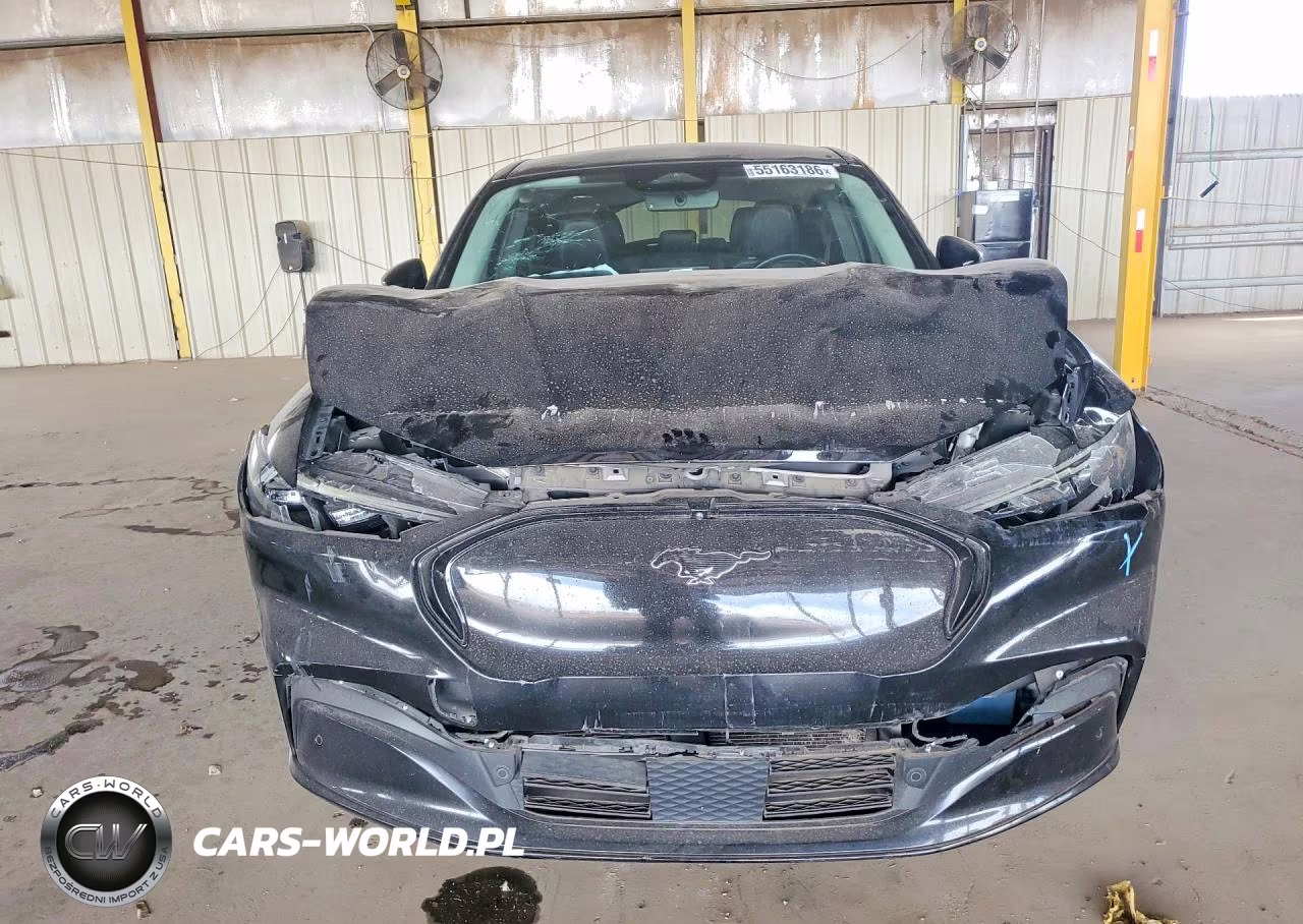 2023 Ford Mustang Mach-E Premium VIN:3FMTK3SU7PMA74043 - 5