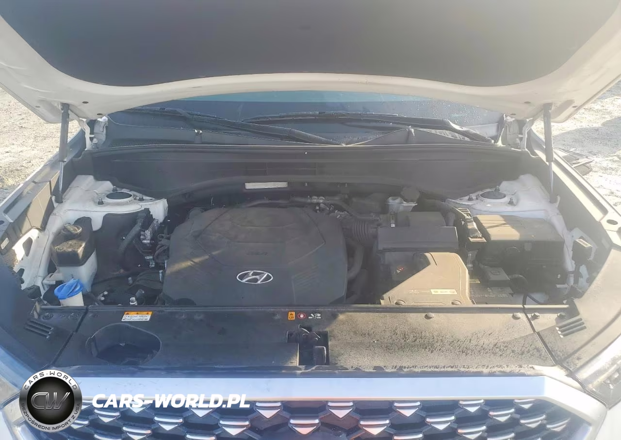 2021 Hyundai Palisade Calligraphy VIN:KM8R7DHE2MU197435 - 11