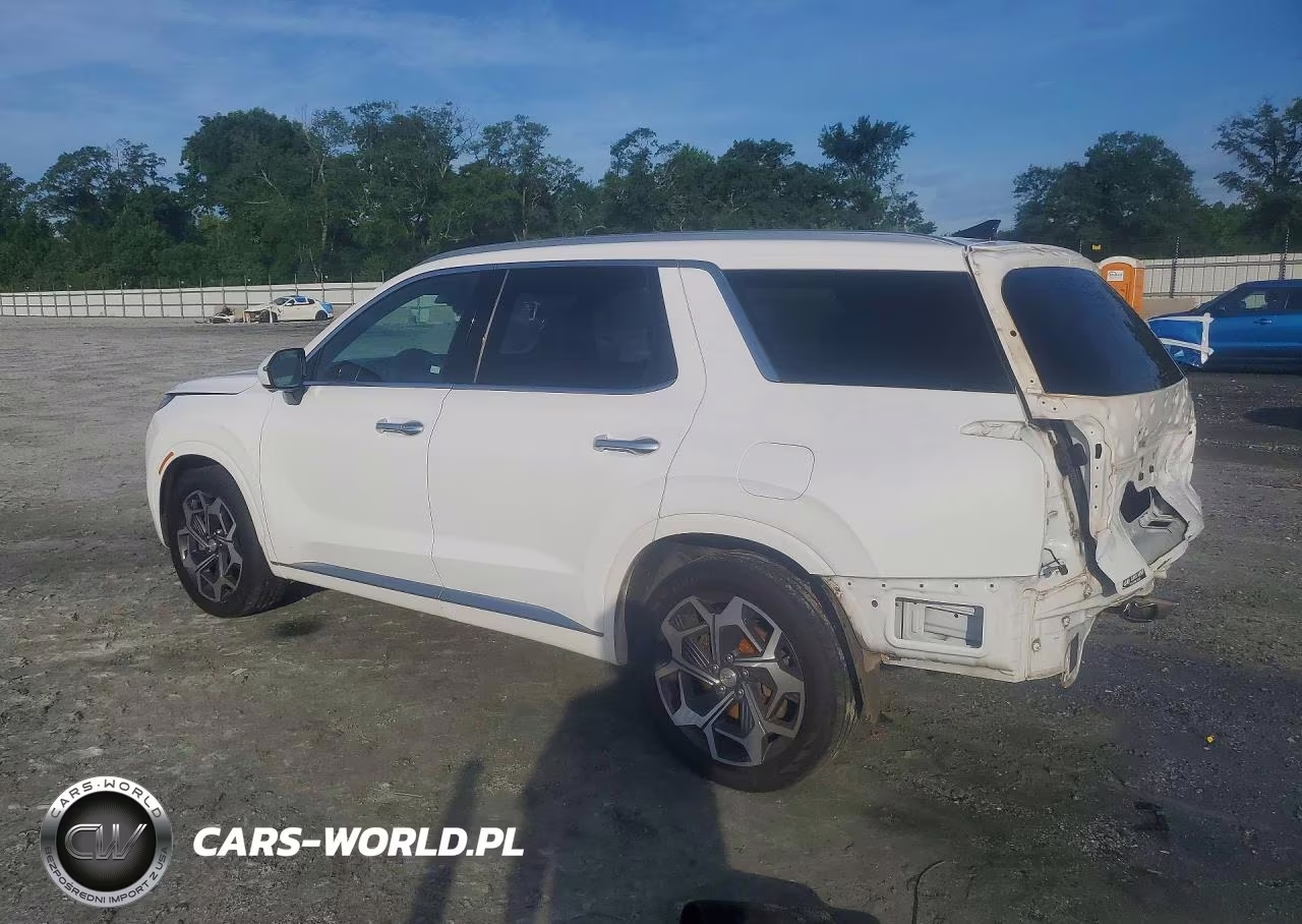 2021 Hyundai Palisade Calligraphy VIN:KM8R7DHE2MU197435 - 2