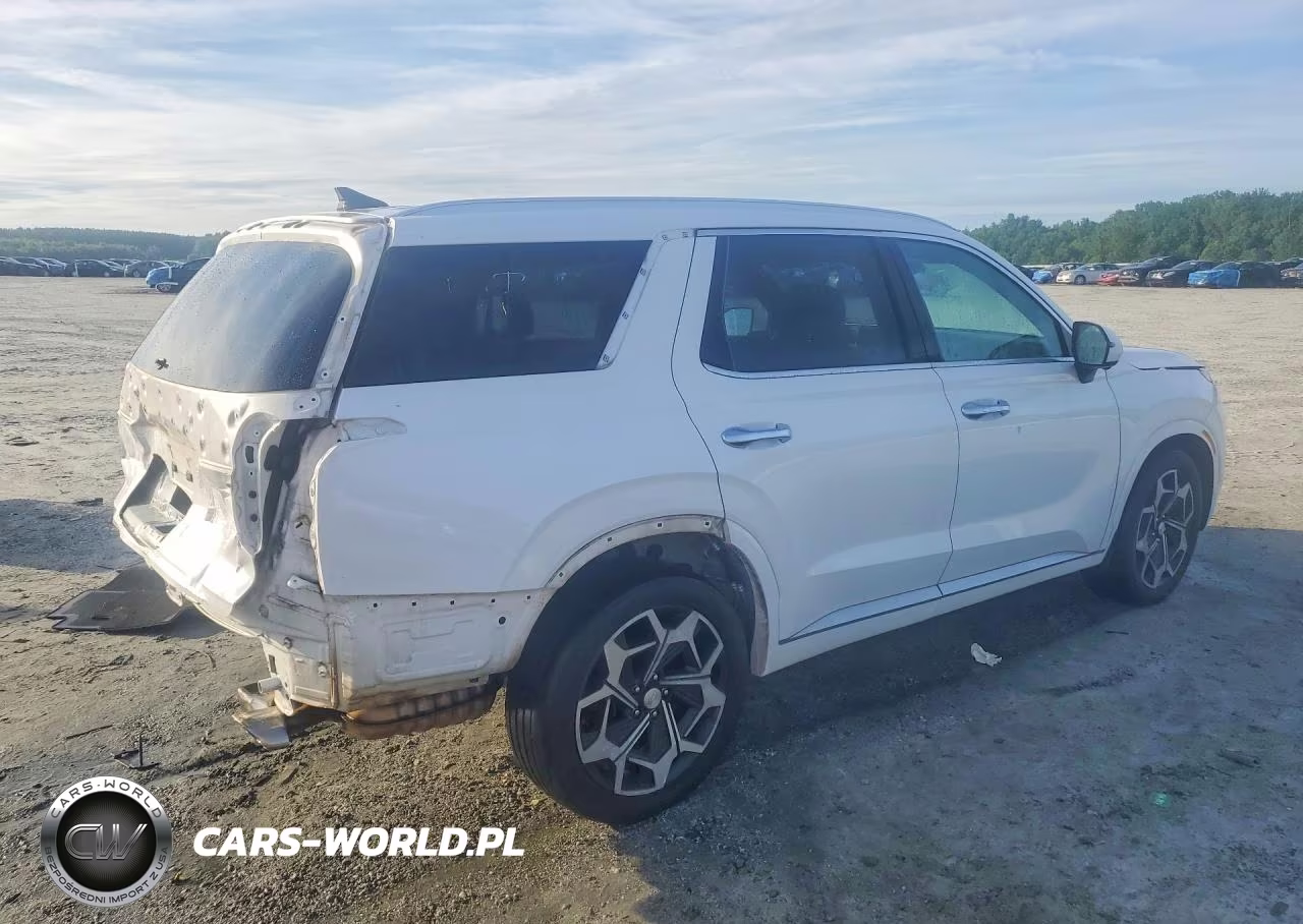 2021 Hyundai Palisade Calligraphy VIN:KM8R7DHE2MU197435 - 3