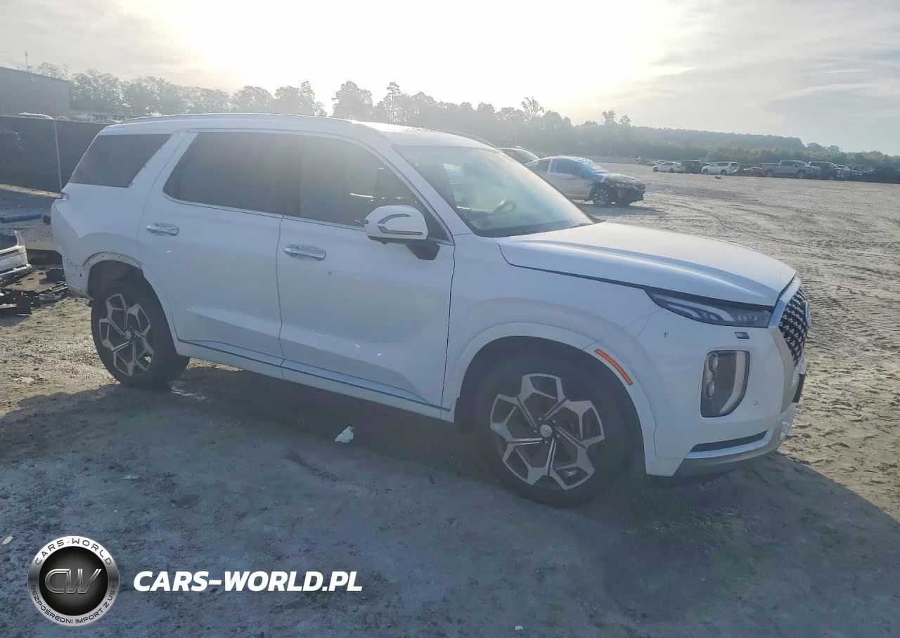 2021 Hyundai Palisade Calligraphy VIN:KM8R7DHE2MU197435 - 4