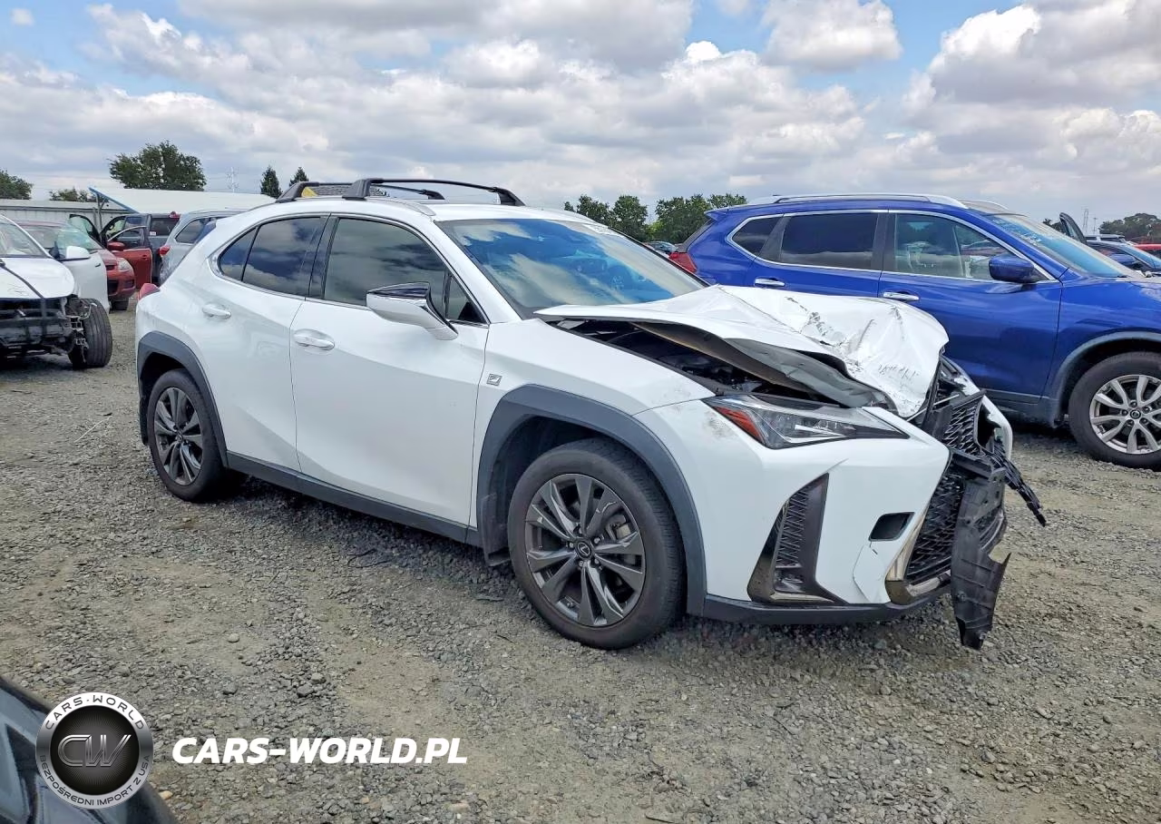 2019 Lexus Ux 200 VIN:JTHY3JBH7K2012817 - 4