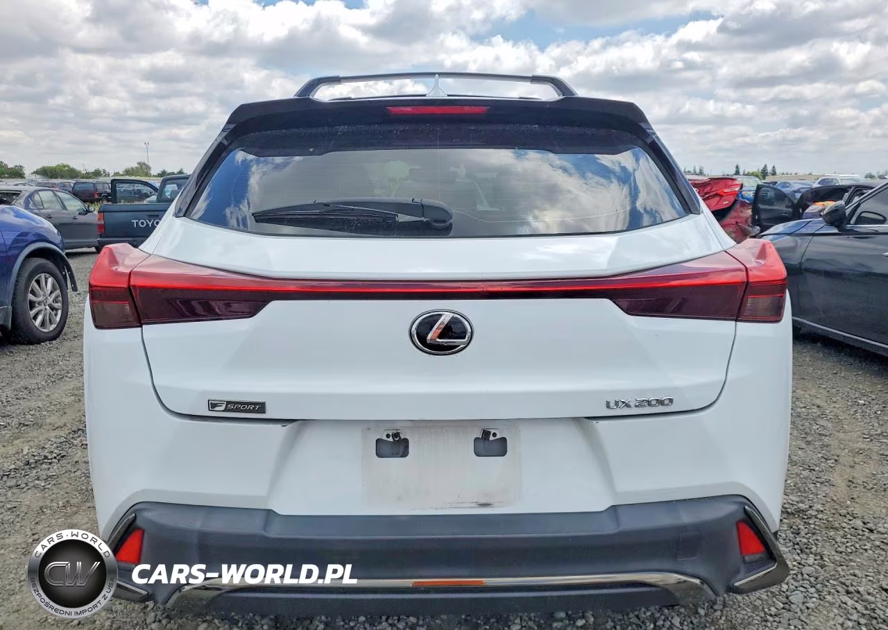 2019 Lexus Ux 200 VIN:JTHY3JBH7K2012817 - 6