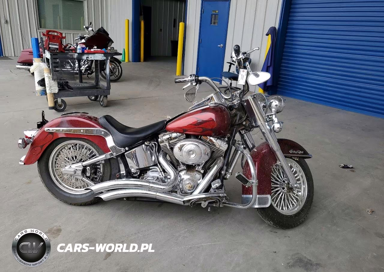 2001 Harley Davidson Flstci