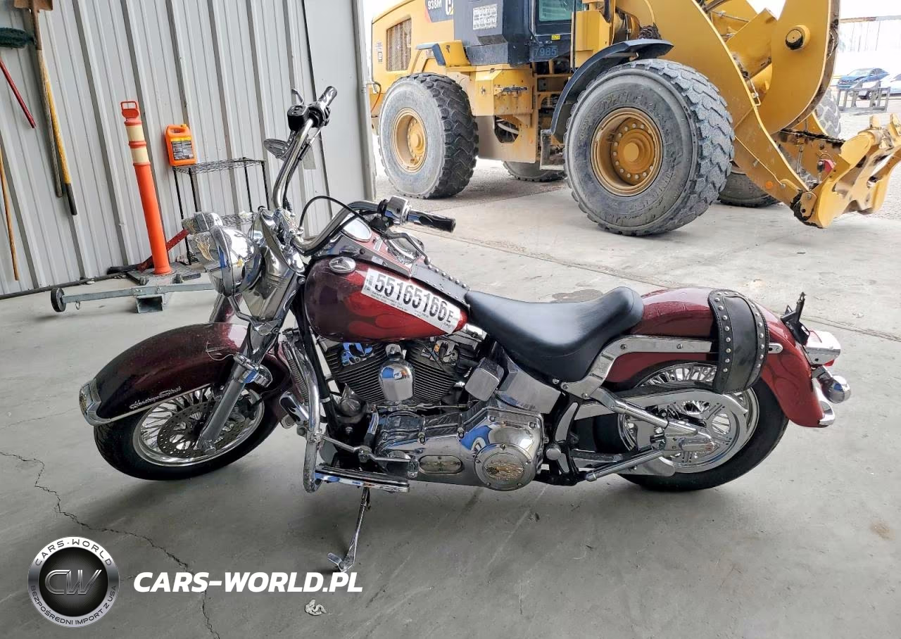 2001 Harley Davidson Flstci VIN:1HD1BWB131Y058709 - 3