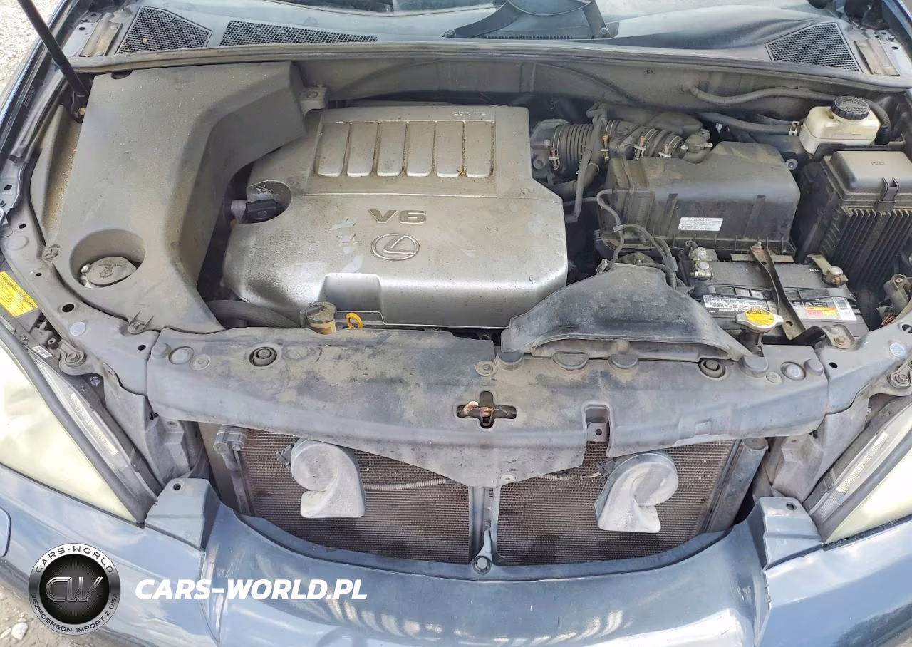 2009 Lexus Rx 350 VIN:2T2HK31U09C104907 - 12