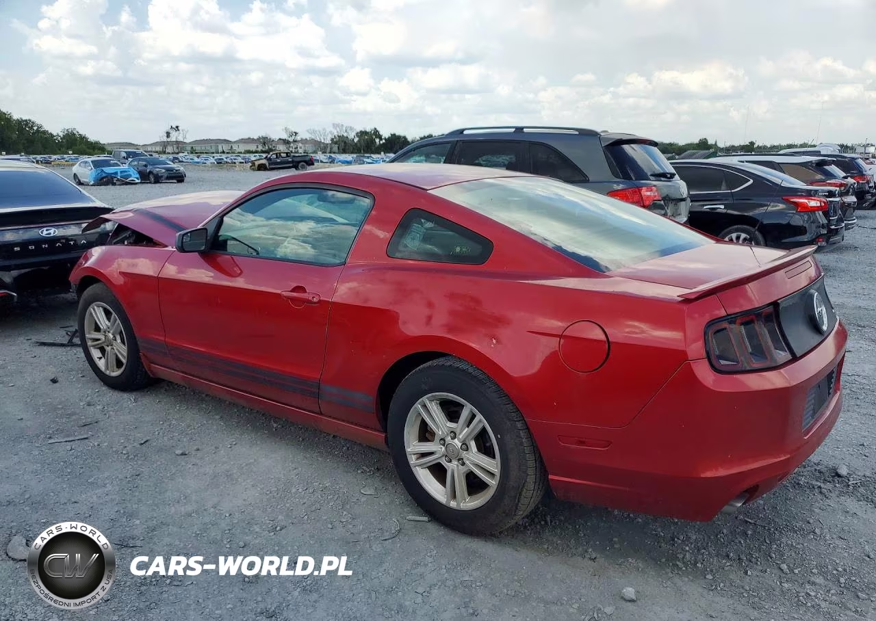 2013 Ford Mustang VIN:1ZVBP8AM4D5258452 - 2