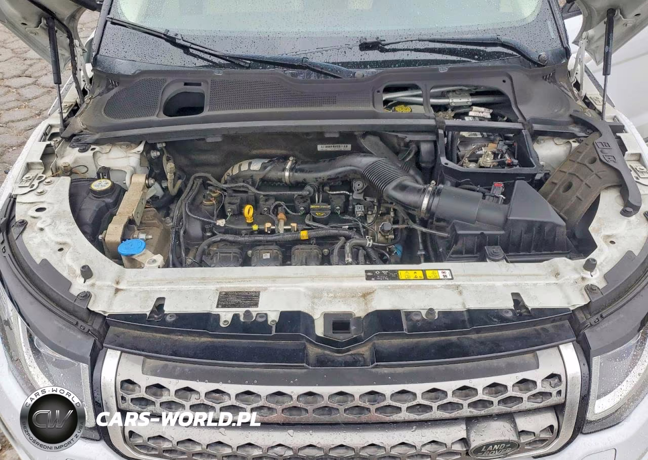 2017 Land Rover Range Rover Evoque Hse VIN:SALVR2BG3HH199651 - 12