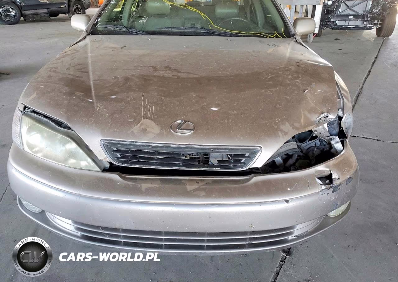 1999 Lexus Es 300 VIN:JT8BF28G7X5072927 - 11