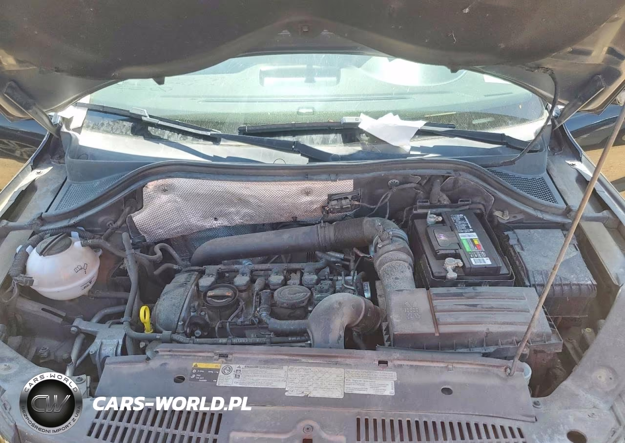 2013 Volkswagen Tiguan S VIN:WVGBV3AX9DW625731 - 12