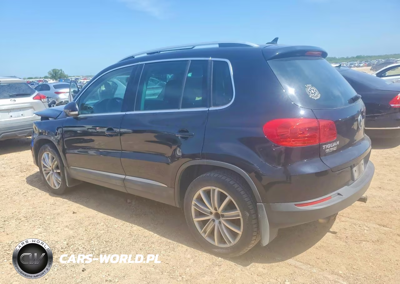 2013 Volkswagen Tiguan S VIN:WVGBV3AX9DW625731 - 2