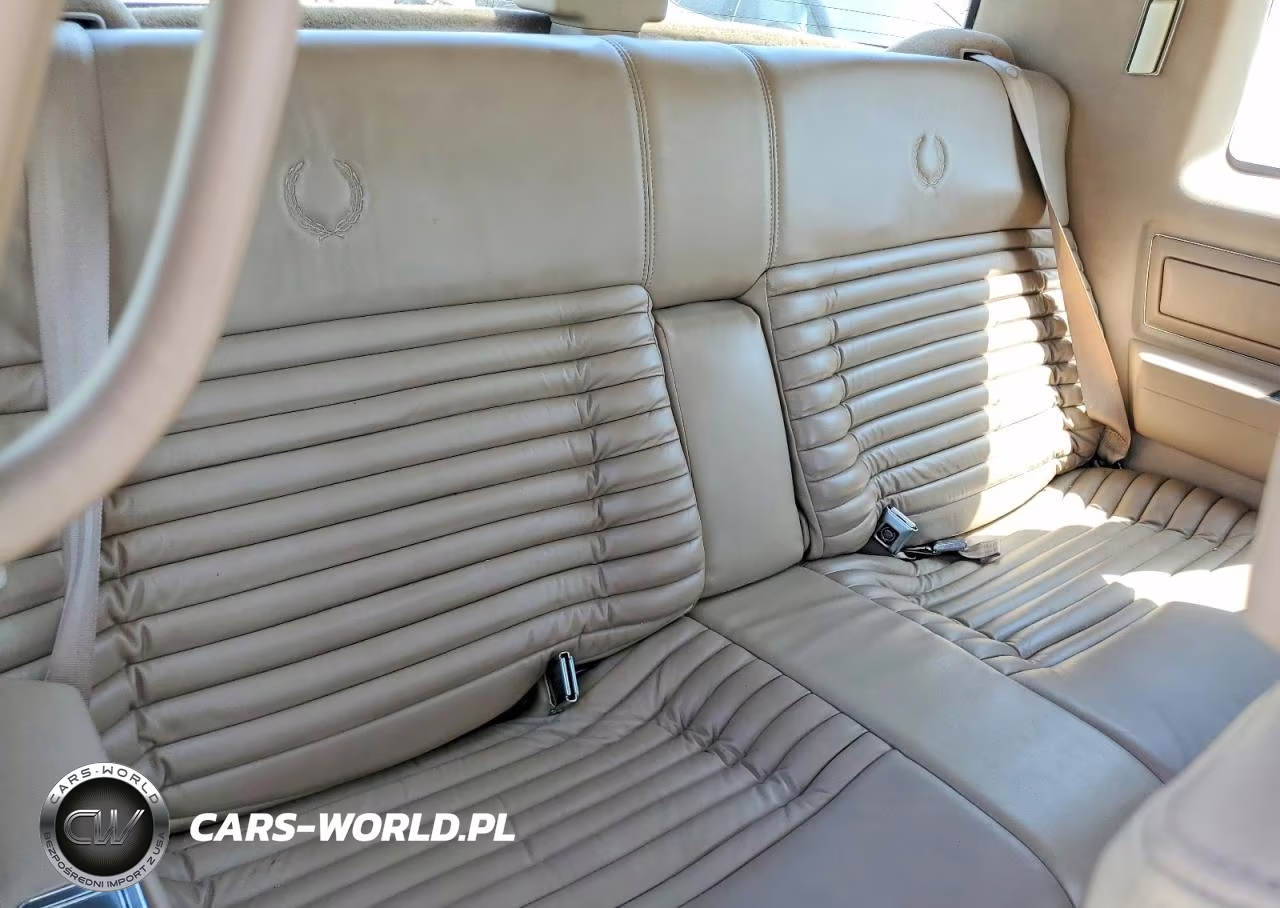 1990 Cadillac Eldorado VIN:1G6EL1337LU607697 - 10