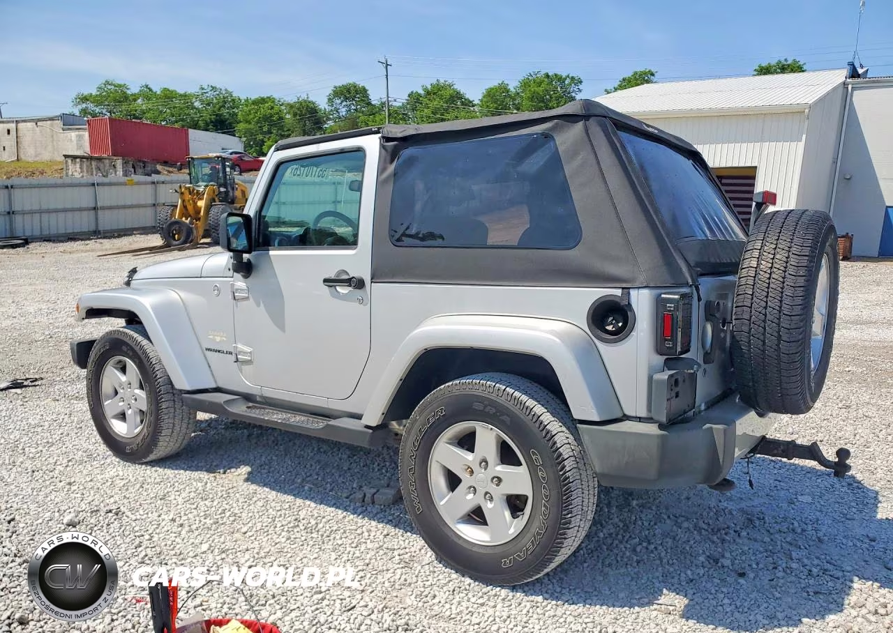 2009 Jeep Wrangler Sahara VIN:1J4FA541X9L734870 - 2