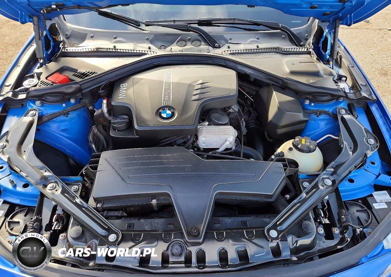 2014 BMW 428 I Sulev VIN:WBA3V7C56EP770651 - 11