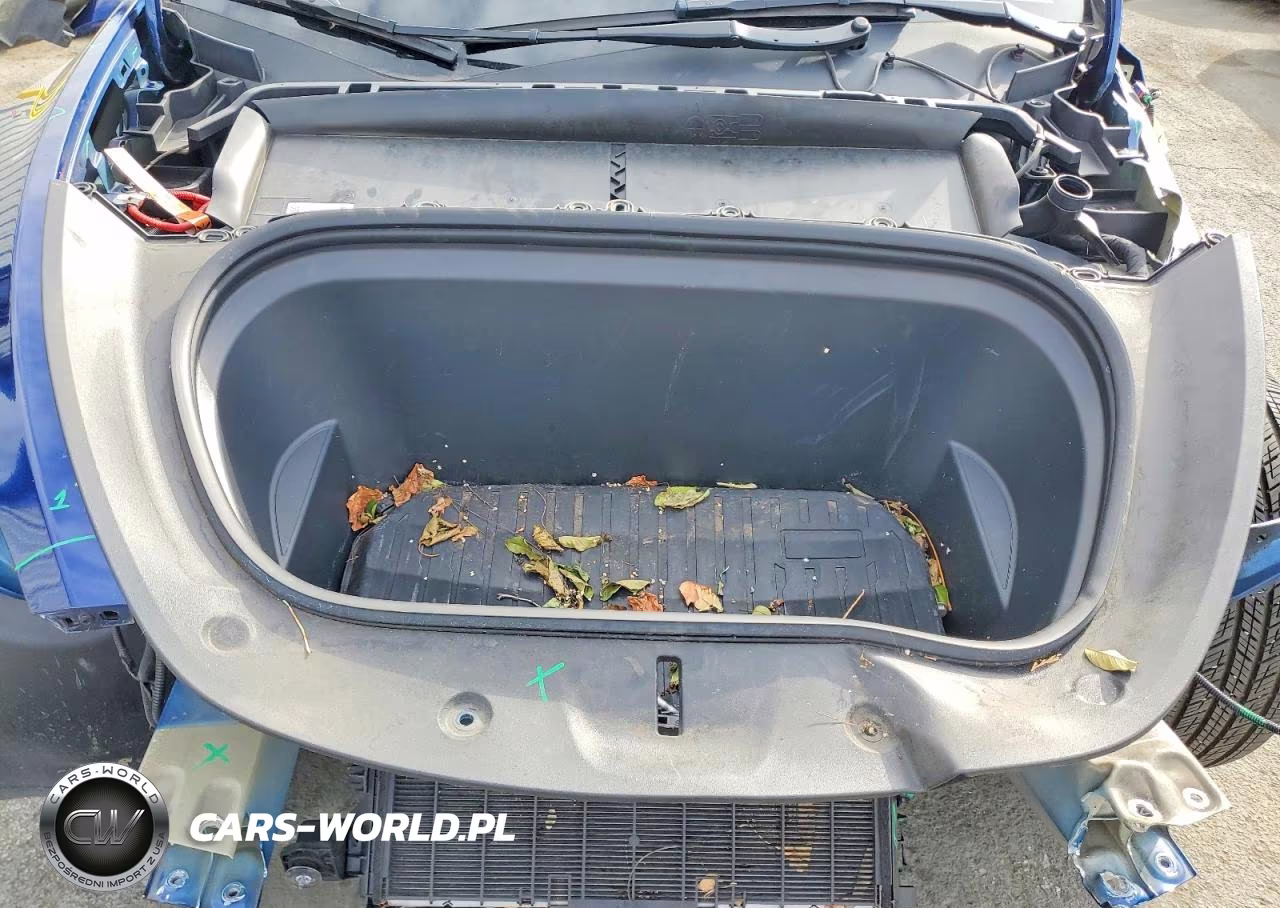 2024 Tesla Model Y VIN:7SAYGDEE8RF985661 - 11