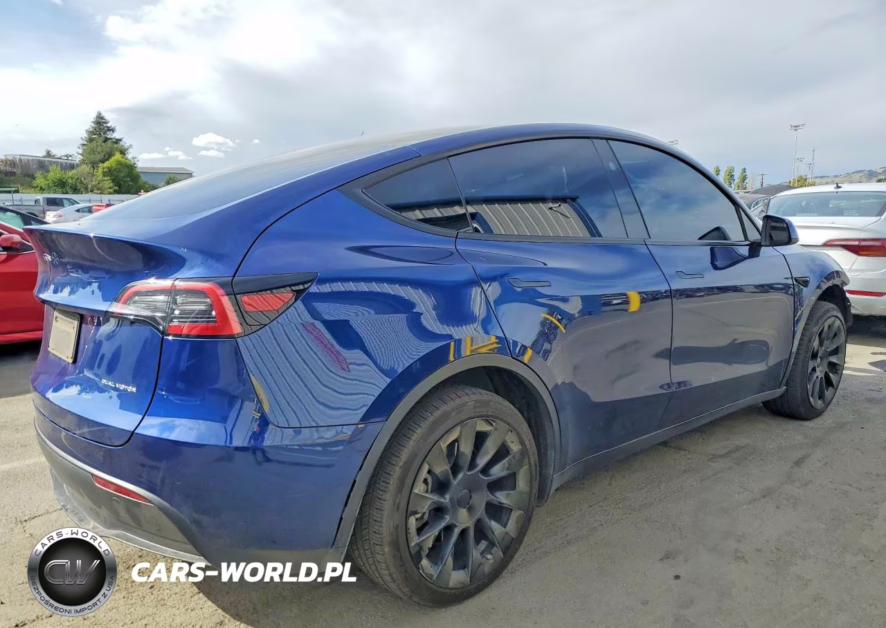 2024 Tesla Model Y VIN:7SAYGDEE8RF985661 - 3