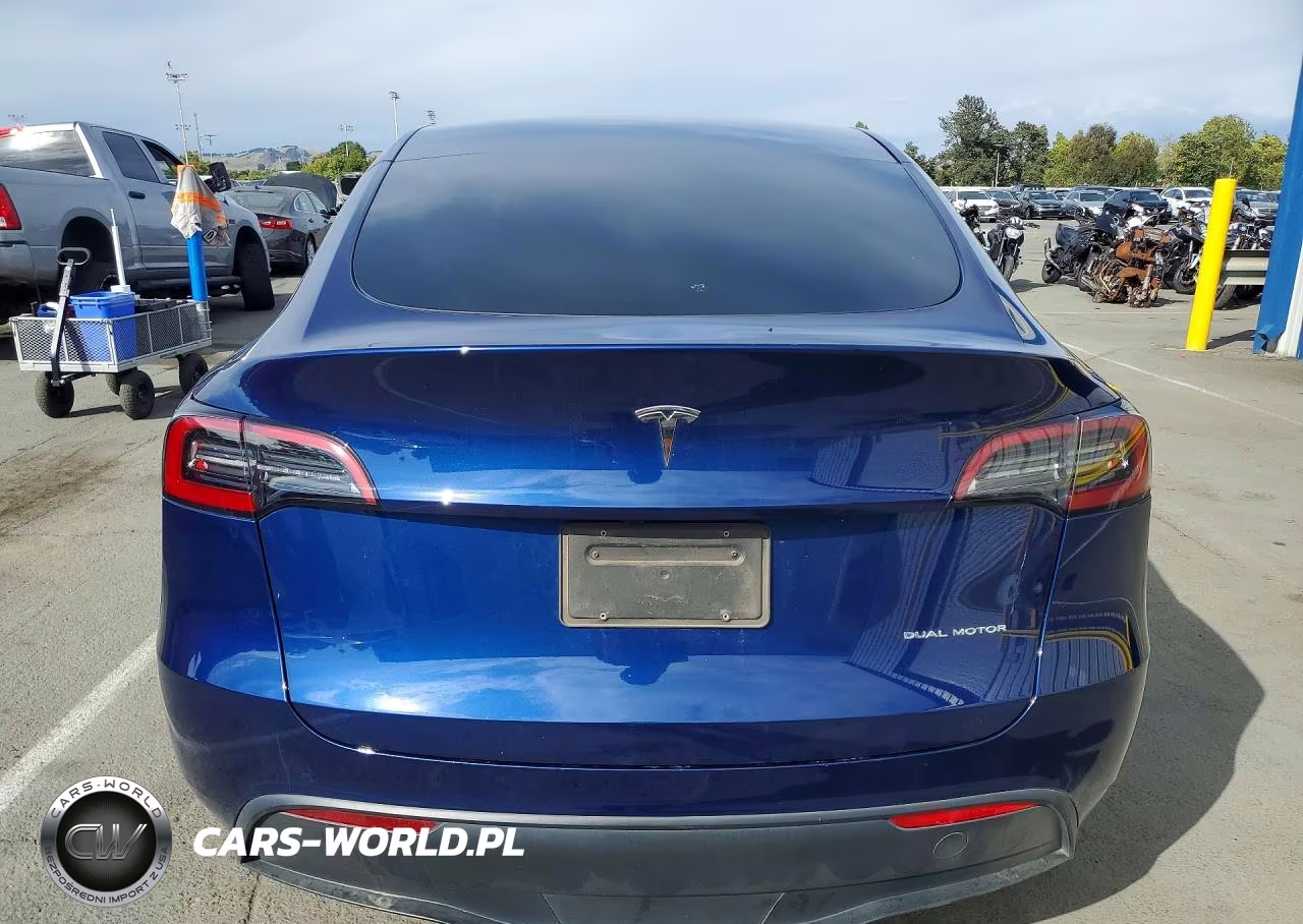 2024 Tesla Model Y VIN:7SAYGDEE8RF985661 - 6