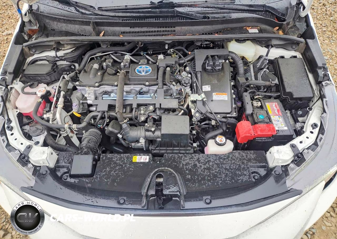 2021 Toyota Corolla Le VIN:JTDEAMDE0MJ015498 - 11