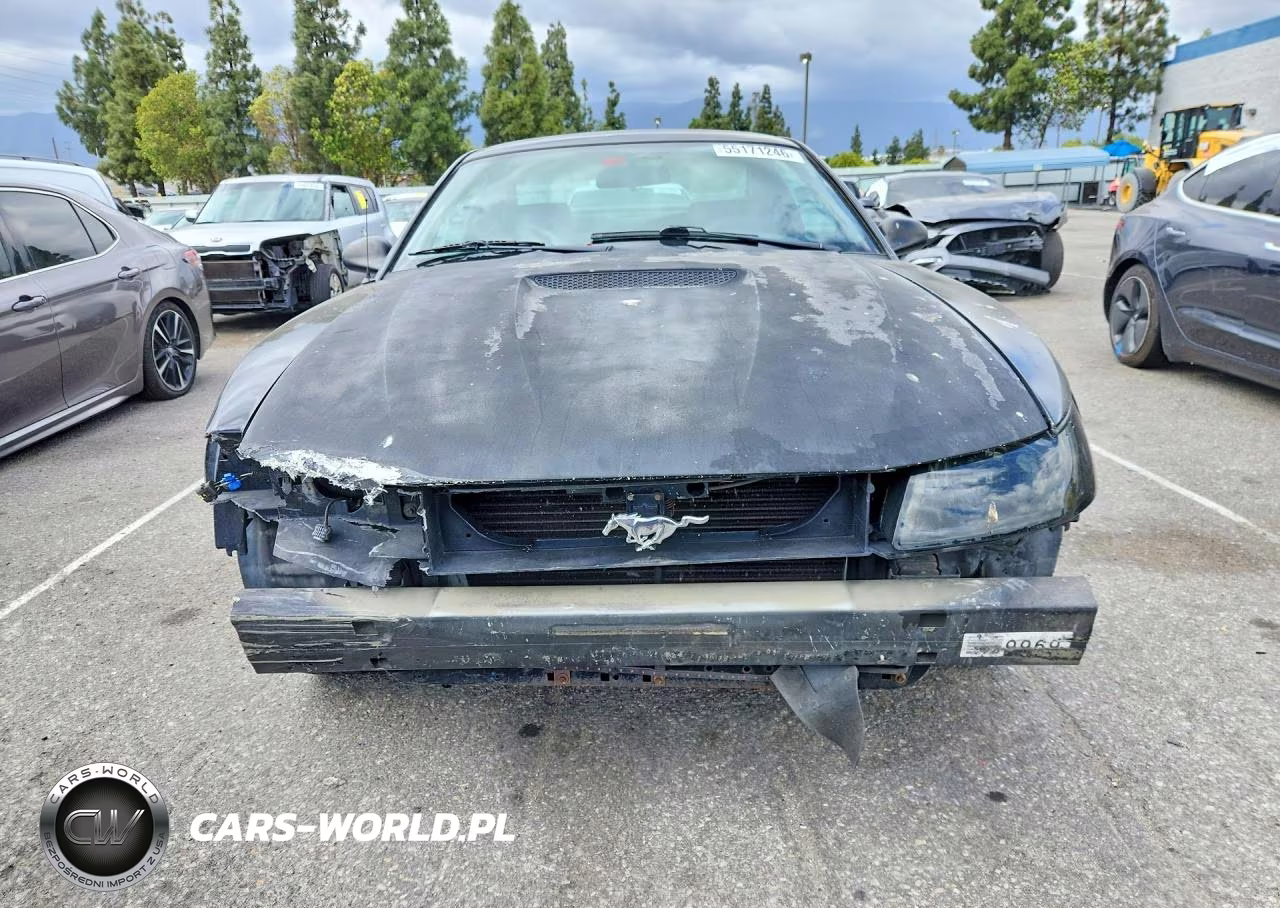 2001 Ford Mustang VIN:1FAFP40451F192651 - 5