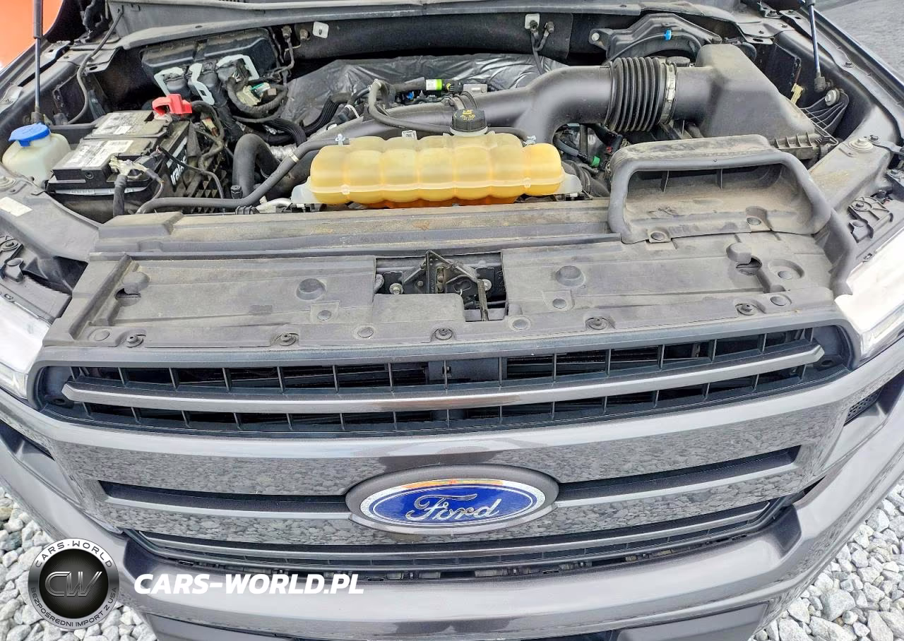2019 Ford F150 Supercrew VIN:1FTEW1EP9KFB79817 - 11