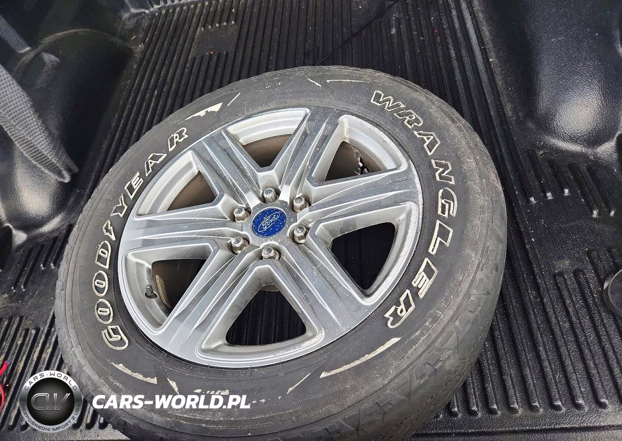 2019 Ford F150 Supercrew VIN:1FTEW1EP9KFB79817 - 12