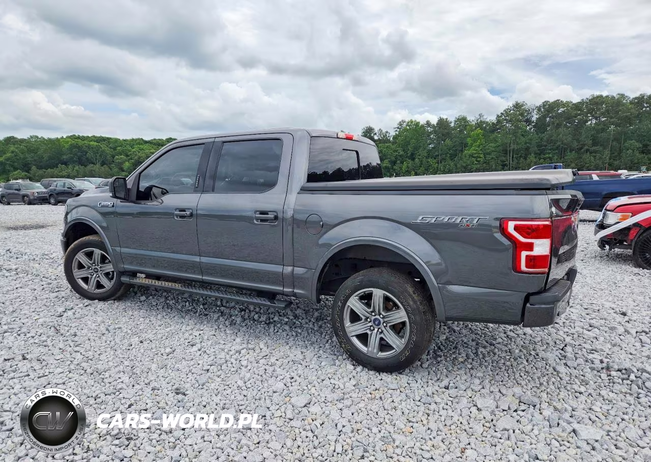 2019 Ford F150 Supercrew VIN:1FTEW1EP9KFB79817 - 2