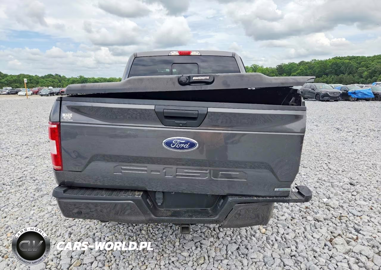 2019 Ford F150 Supercrew VIN:1FTEW1EP9KFB79817 - 6