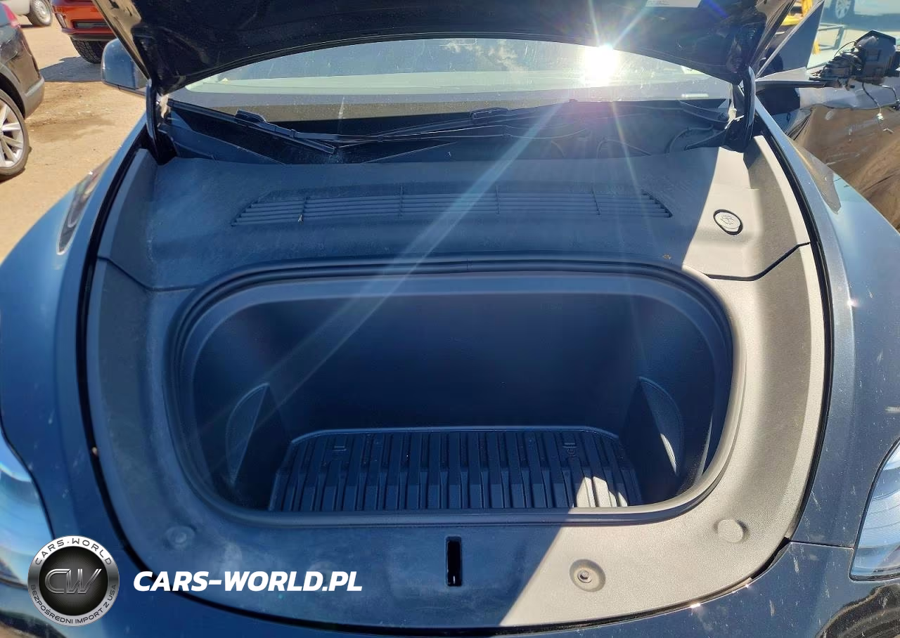 2023 Tesla Model Y VIN:7SAYGDEE0PA195006 - 11