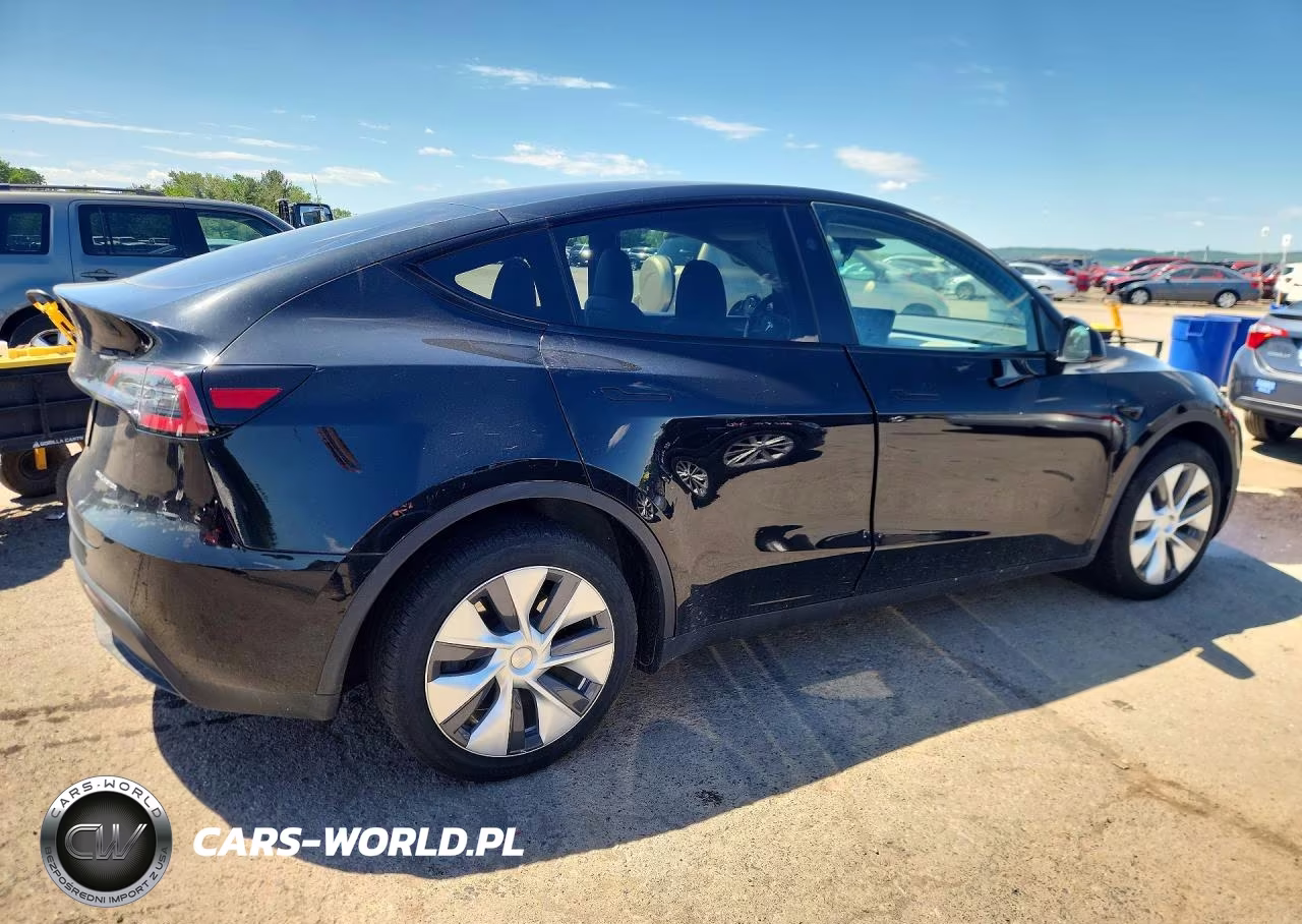 2023 Tesla Model Y VIN:7SAYGDEE0PA195006 - 3