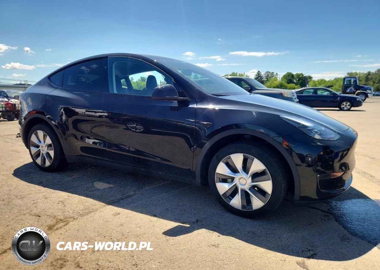 2023 Tesla Model Y VIN:7SAYGDEE0PA195006 - 4