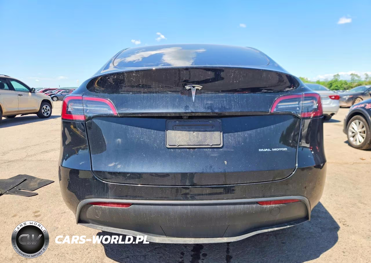 2023 Tesla Model Y VIN:7SAYGDEE0PA195006 - 6