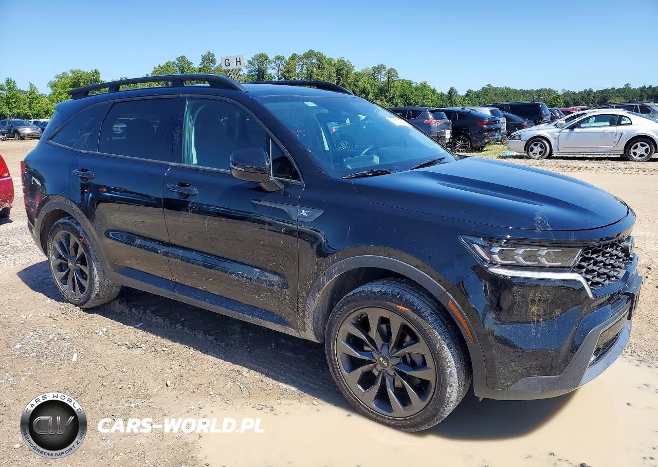 2021 Kia Sorento Sx Prestige X-Line VIN:5XYRKDLF3MG049721 - 4