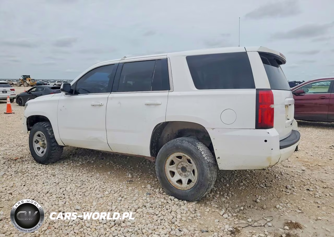 2019 Chevrolet Tahoe Special VIN:1GNSKFEC5KR125378 - 2
