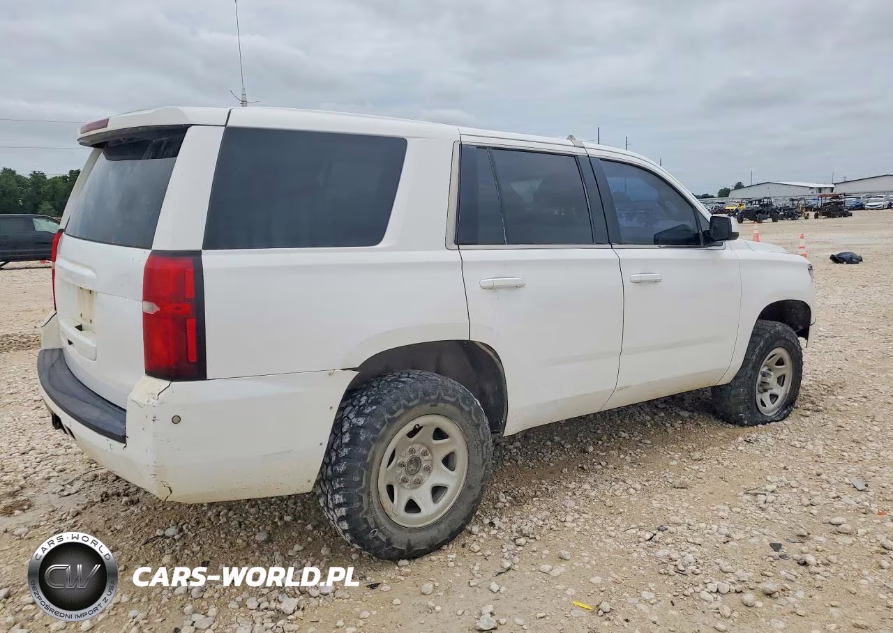 2019 Chevrolet Tahoe Special VIN:1GNSKFEC5KR125378 - 3
