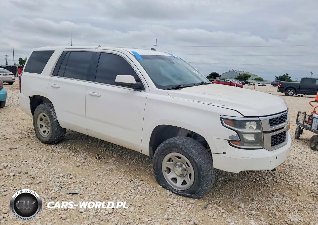 2019 Chevrolet Tahoe Special VIN:1GNSKFEC5KR125378 - 4