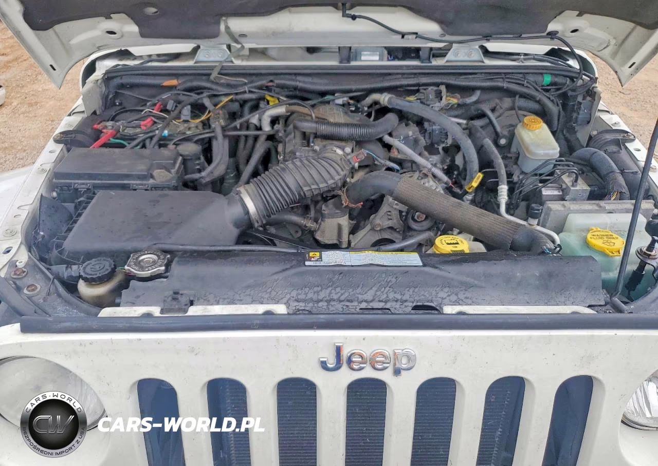2010 Jeep Wrangler Unlimited Sahara VIN:1J4HA5H11AL156827 - 12